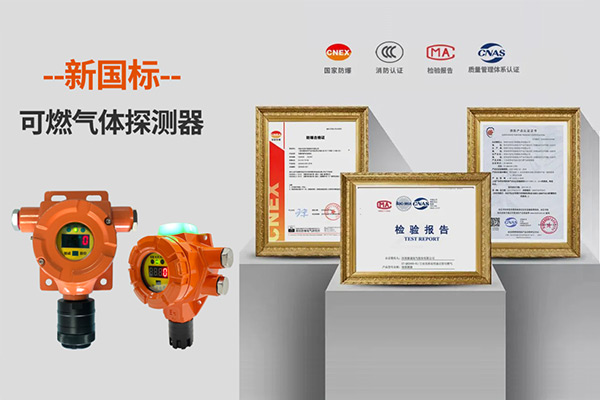可燃氣體探（tàn）測器