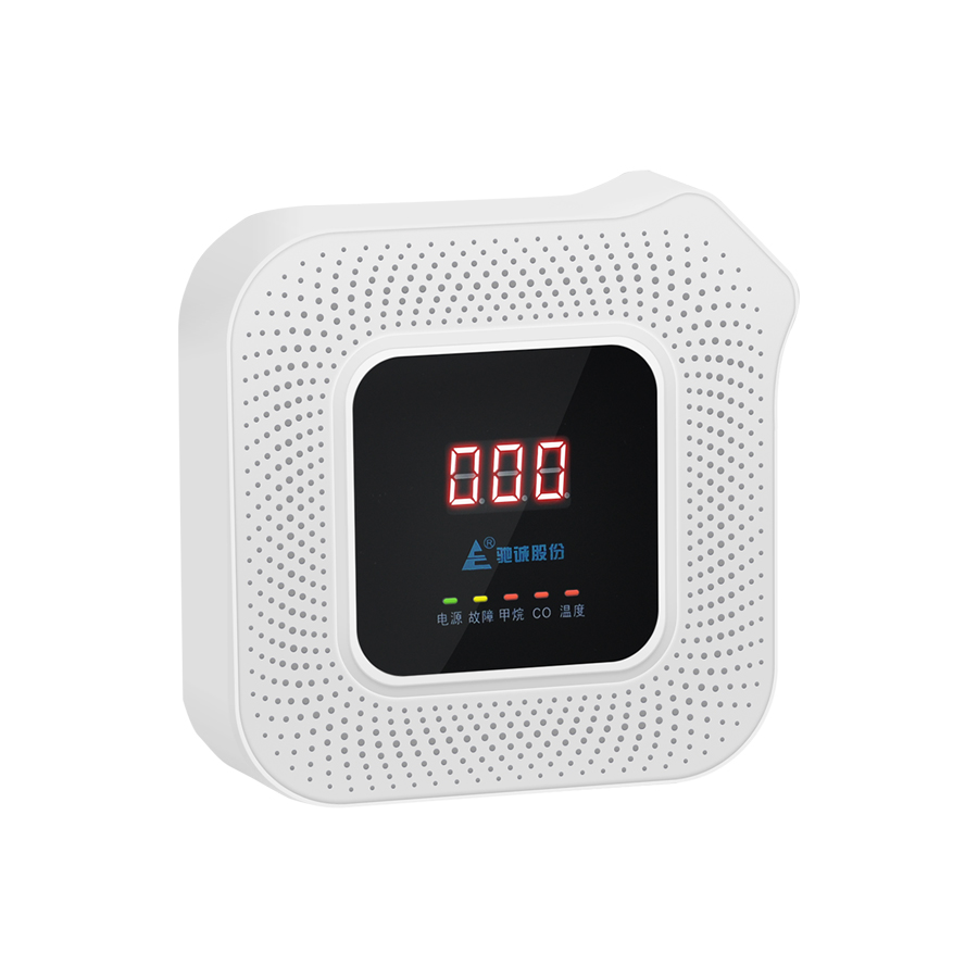 HD8200智能語音（yīn）型雙氣（qì）體（tǐ）報警器