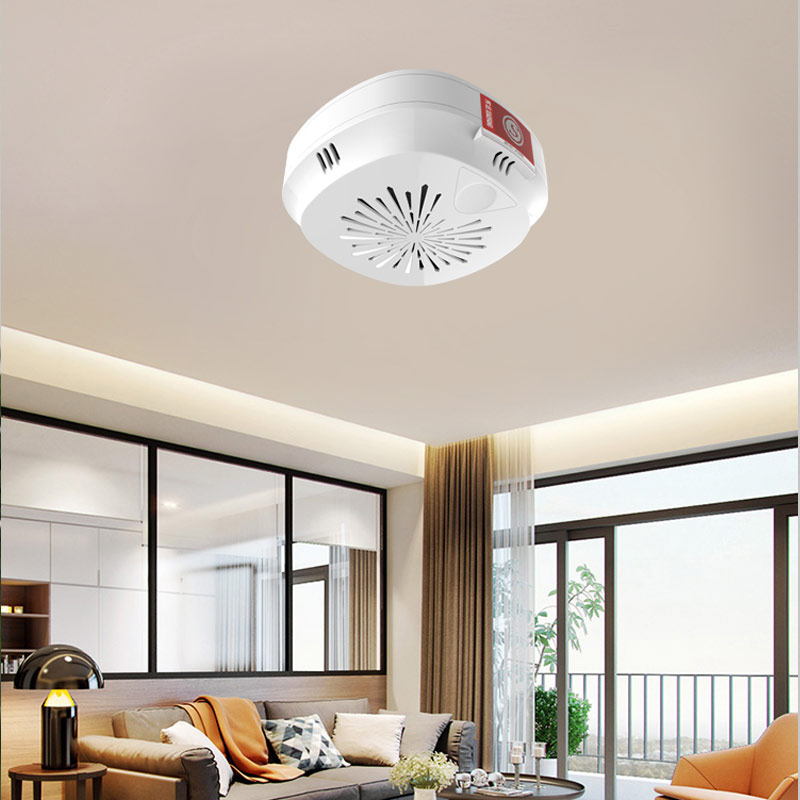 HD6000吸（xī）頂式（shì）可燃氣體（tǐ）檢測報警器