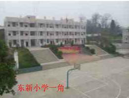 古蔺县东新乡东新小学