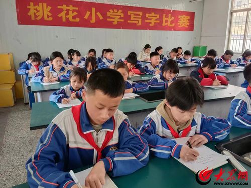 成武县桃花学区桃花寺小学开展硬笔书法比赛活动