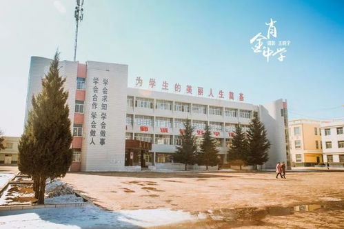 母校 肖金小学