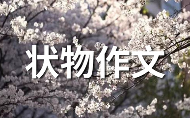 读《荷花》有感
