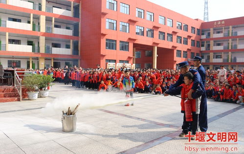竹溪县密云小学 强化安全意识 提高抗风险能力