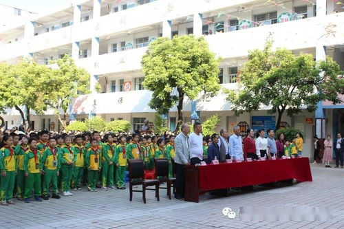 防城区珠河关工委 防城区第三小学联合开展 第四届 关爱明天 普法先行 青少年普法教育活动