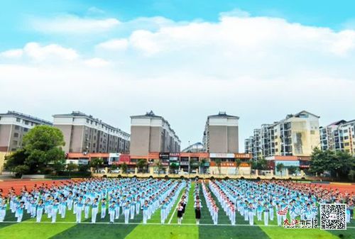 东乡区北港小学举办葫芦丝比赛活动 图