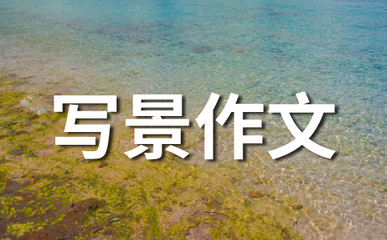 秋天美|秋天美
